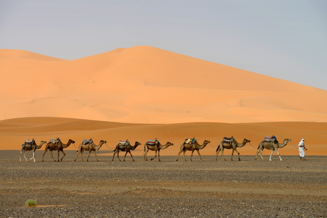 Ekdromi Dubai 04